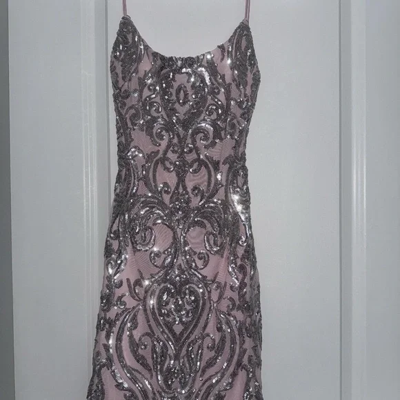 Windsor Sequin Mesh Bodycon Dress - Picture 4 of 7